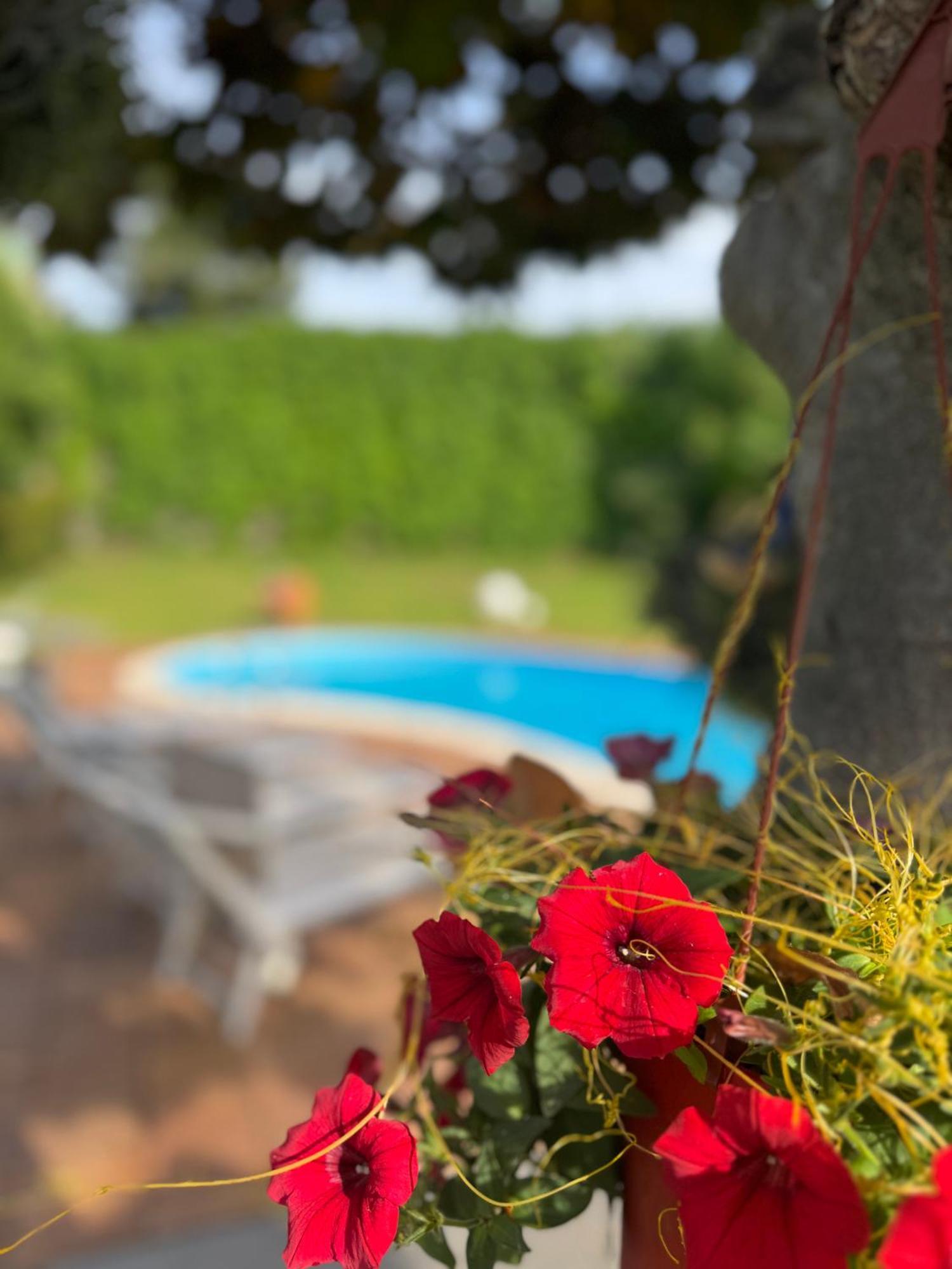 Villa Con Piscina Esclusiva Vista Etna Mascali Exterior foto